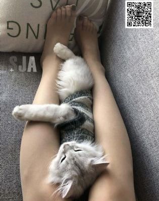 国产视频导航_蓝光在线观看电视